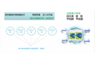 污水廠(chǎng)/垃圾場(chǎng)發(fā)臭怎么快速降解