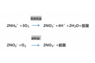 食品廢水氨氮超標(biāo)，你可以這么做